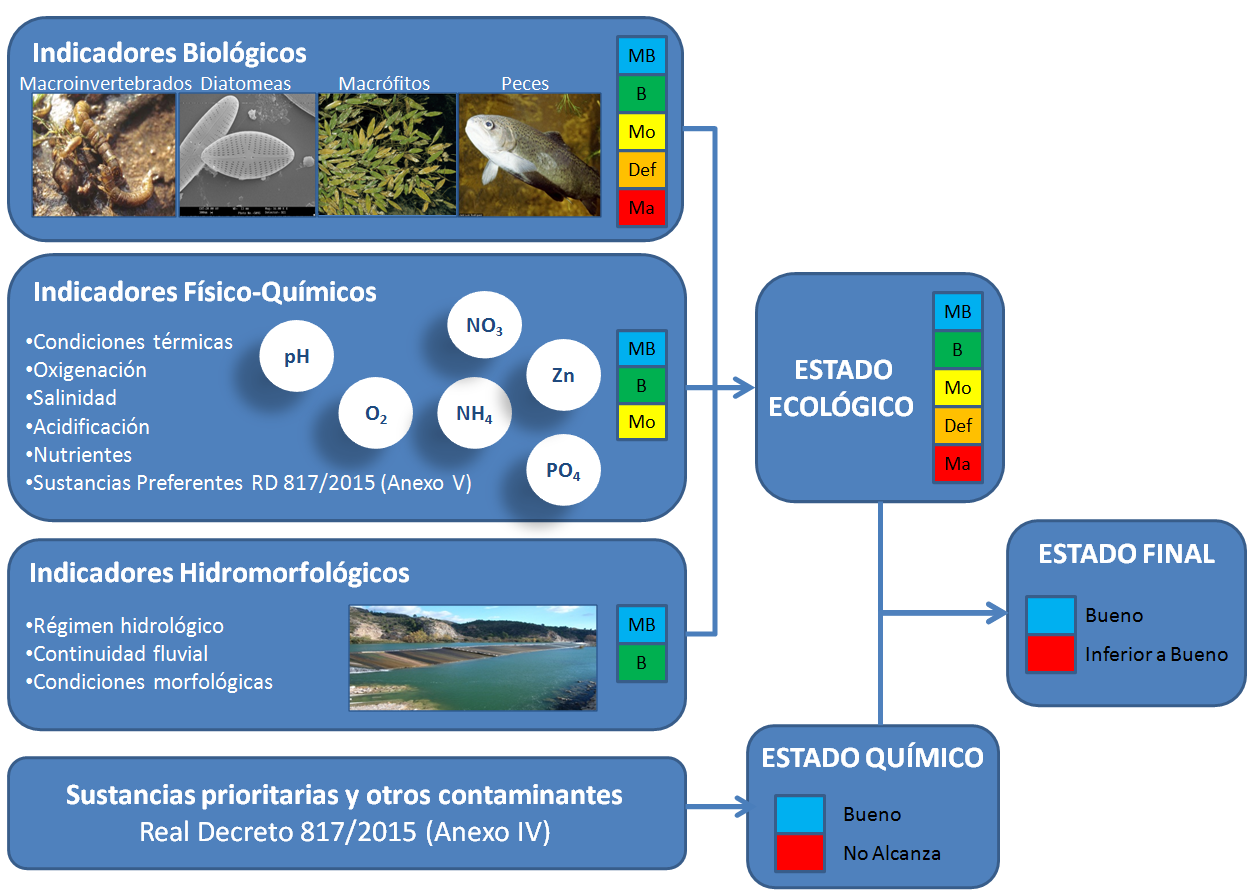 Evaluacin del estado